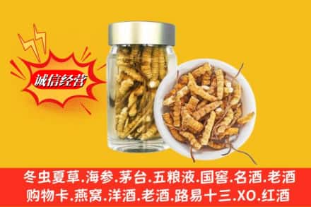 富民县回收散虫草