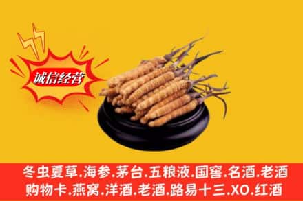 富民县名酒回收冬虫夏草.jpg